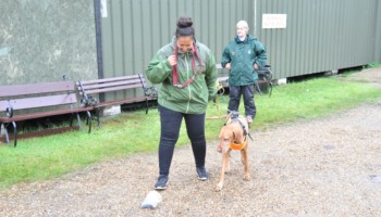 Sniffer Dogs @ NASAM