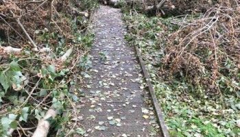 Adair Boardwalk Damage