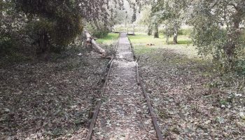 Adair Boardwalk Crushed